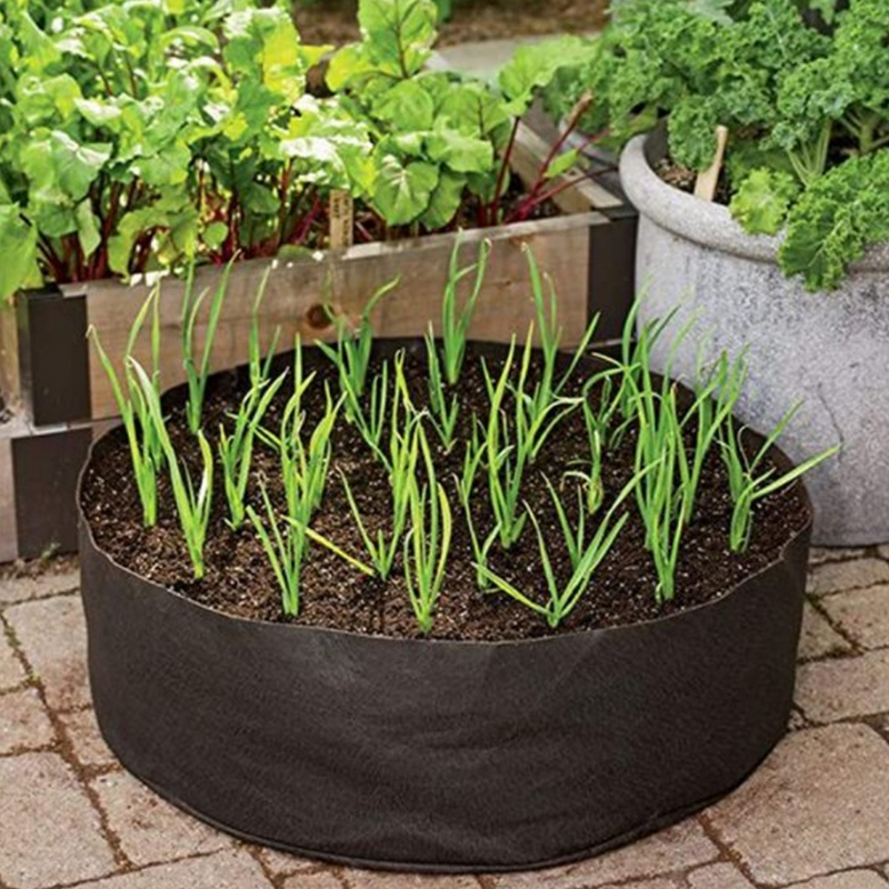 Growing Bags for Household Plants & Gardening Pots