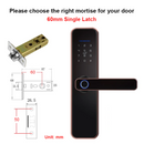 Electronic Wifi Smart Lock