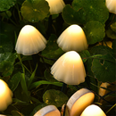 Outdoor Solar Mushroom Lights Waterproof Garden Lights