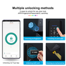 Electronic Wifi Smart Lock