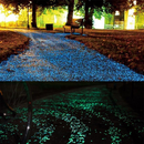 Glow in The Dark Garden Pebbles Luminous Outdoor Stones